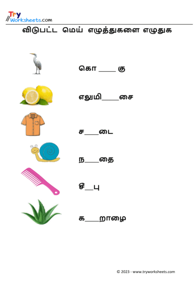 மெய் எழுத்துகளை எழுதுவோம்