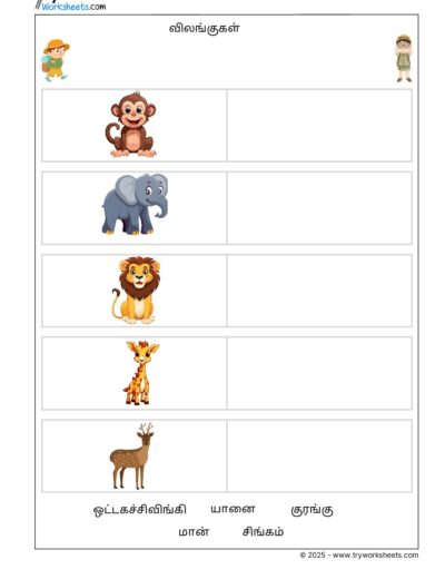 Tamil Grade 1 Animals (விலங்குகள்  )