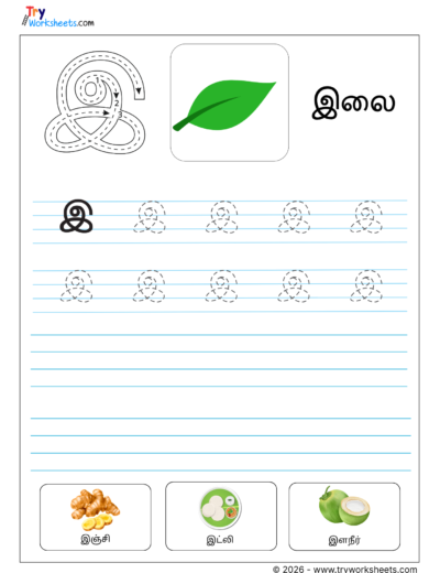 Tamil Letter இ Writing Practice | Learn Words Starting with இ
