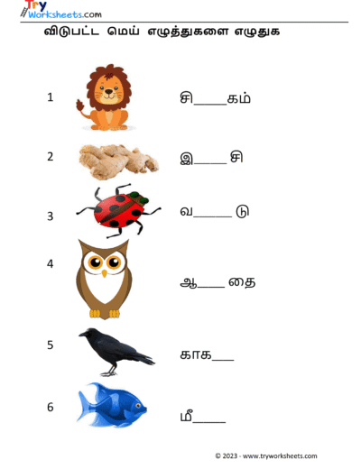 மெய் எழுத்துகளை எழுதுவோம் – 3