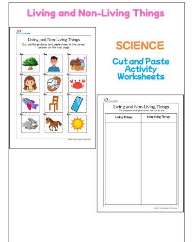 Science – Living and Non-living Things | Worksheets & Activities for Kids