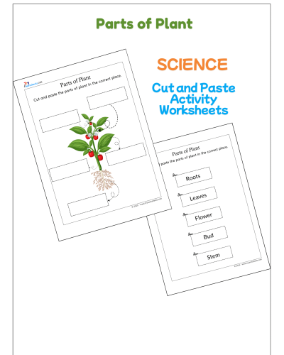 Science – Parts of Plants Cut and Paste Worksheet | Activities for Kids