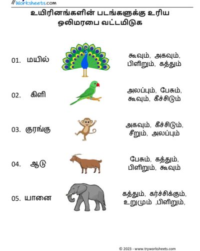 Tamil Worksheets – Grade 5 – Match Animals And Sounds