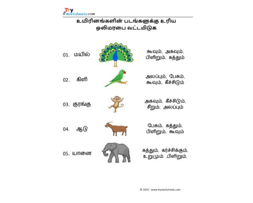 Tamil Worksheets – Grade 5 – Match Animals And Sounds