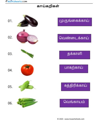 Tamil Worksheets – Grade 5 – Match Fruit Names
