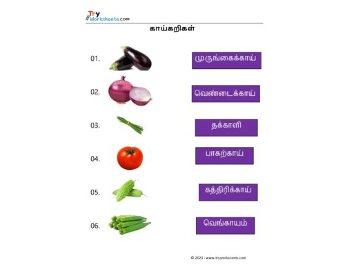 Tamil Worksheets – Grade 5 – Match Fruit Names