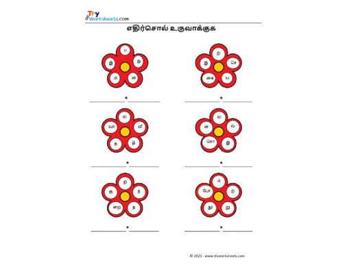 Tamil Worksheets – Grade 5 – Opposite Words