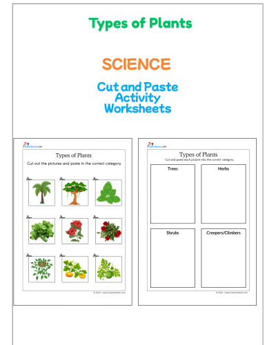 Science – Types of Plants Cut and Paste Worksheet | Fun Activity for Kids