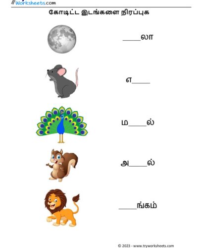 கோடிட்ட இடங்களை நிரப்புக