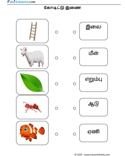 கோடிட்டு இணை – 5