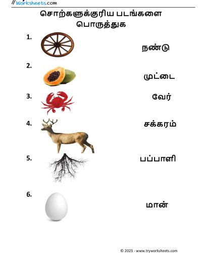 படங்களை பொருத்துக
