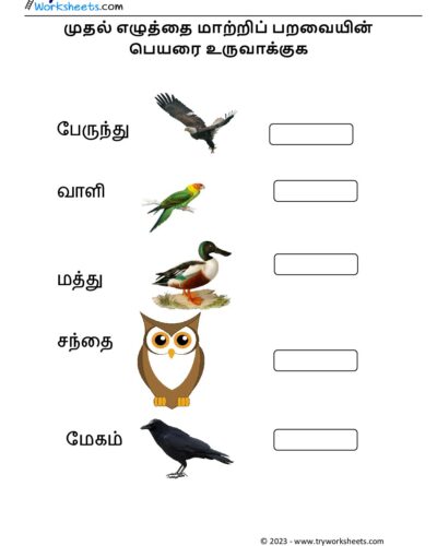 பறவையின் பெயரை உருவாக்குக