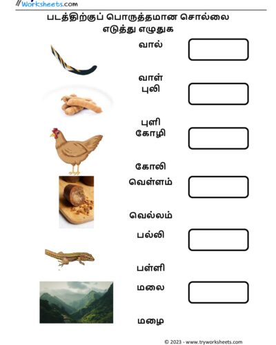 பொருத்தமான சொல்லை எடுத்து எழுதுக