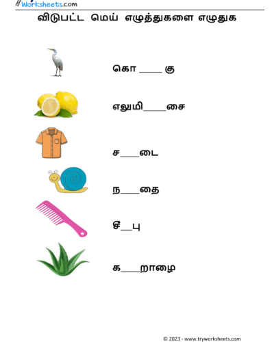மெய் எழுத்துகளை எழுதுவோம்