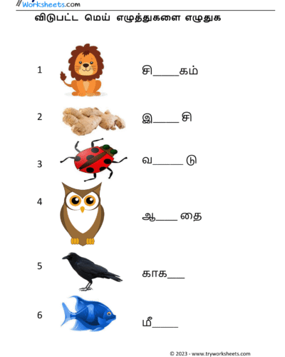 மெய் எழுத்துகளை எழுதுவோம் – 3