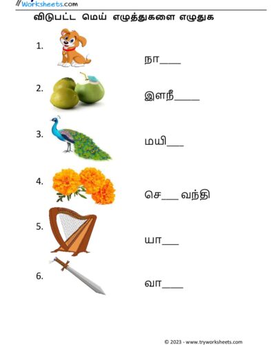 மெய் எழுத்துகளை எழுதுவோம் – 4